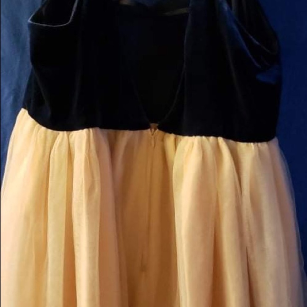 Navy Blue Tule Dress